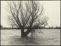 FOTO_GF_C159 De watersnoodramp in de polder van Abbenbroek; 1953