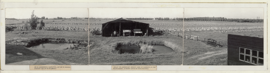 FOTO_HARDBOARD_019 Foto 's van Spijkenisse als Panorama samengevoegd: Op de voorgrond vlasputten, met vlas dat te ...