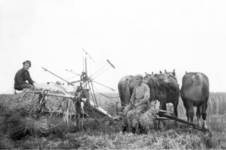 NLL042 Maaien op de boerderij van Arie Peters en Neeltje Arentje Nieuwland. Links: Andries Jan Peters (1928-1996), zoon ...