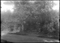 GN2240 Laantje in het bos; ca. 1935