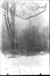 GN2258 Brug en bomen in een besneeuwd Mildenburgbos; ca. 1925