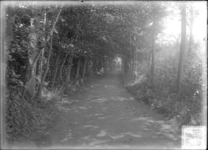 GN2351 Paadje door het bos; ca. 1925