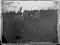 GN3112 Man met twee paarden; ca. 1914