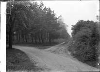 GN5119 Een paadje door het bos; ca. 1920