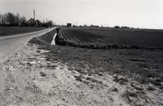 B1363 Het gebied rond de Bernisse voor de ontwikkeling tot recreatiegebied. Huizen aan de Veerdam; 20 april 1976