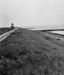 B1117 De vuurtoren; ca. 1960
