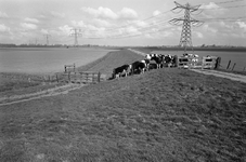 B1387 De Bernisse; 20 april 1976