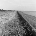 C1003 Zeedijk te Oudenhoorn; ca. 1990