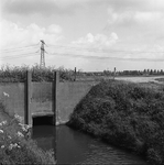 C1948 De heul in de Oudelandsedijk; mei 1997