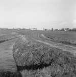 C2031 De onverharde Lageweg in Vierpolders; maart 1989