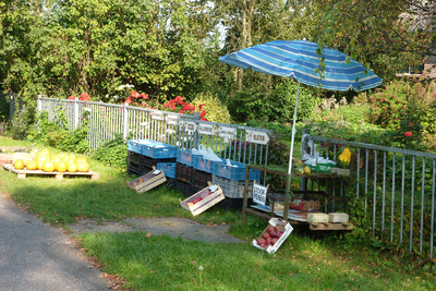 NL-PmWA_0059_120002655 Beemster Purmerenderweg. Verkoop van groenten en fruit langs de weg.