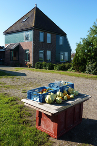 NL-PmWA_0059_120002693 Overleek. Fruitkraampje langs de weg.