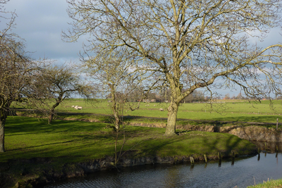 NL-PmWA_0059_120002740 Purmerend, Blijweg. Boomgaard bij een boerderij. Het pand is nog in gebruik als boerenbedrijf in ...