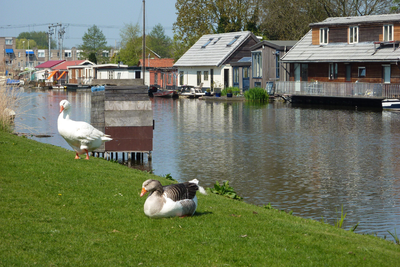 NL-PmWA_0059_120002762 Purmerend. Woonboten op de Where.