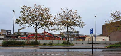 CES_2023-11-04_140853 Sloop van diversen panden aan de Waterlandlaan. Op de achtergrond: woningen aan de Purmerweg