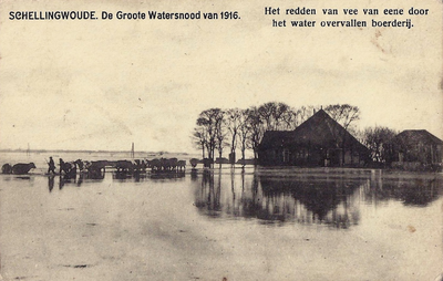 UPL000000113 Schellingwoude. Watersnood 1916. Het redden van vee.