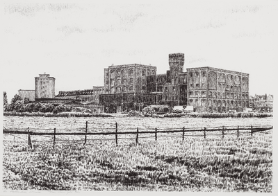 WAT001021025 Rijstpellerij Hollandia aan de Zaan.