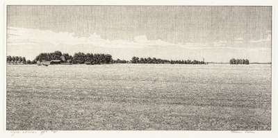 WAT001020981 Gezicht in de Wijde Wormer.