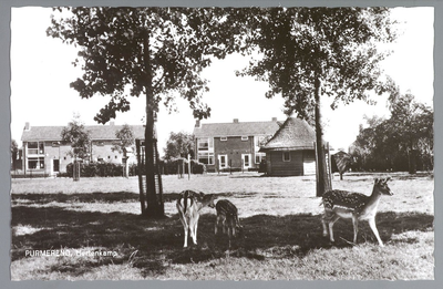 WAT001012435 Hertenkamp