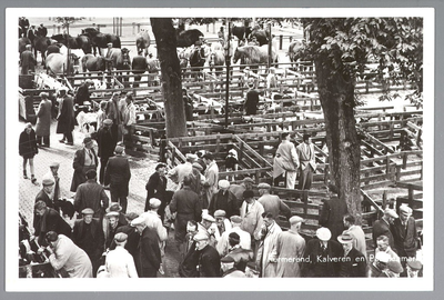 WAT001012809 Kalvermarkt op de kop van de Koemarkt. Kalveren stonden in hokken die daar speciaal voor waren gemaakt. En ...