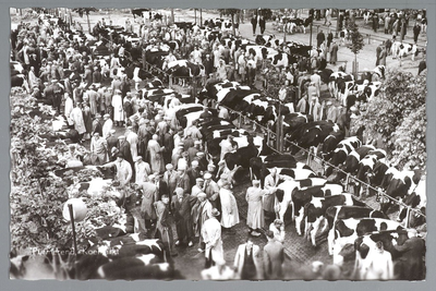 WAT001012815 Koemarkt. Op de kop van de koemarkt verhandelde men al sinds 1612 koeien, ossen, paarden, varkens en ...