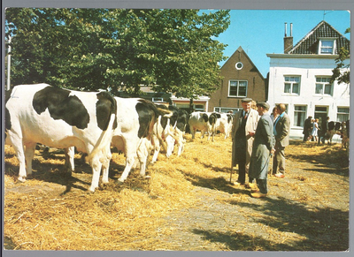 WAT001012830 Koemarkt. Op de kop van de koemarkt verhandelde men al sinds 1612 koeien, ossen, paarden, varkens en ...