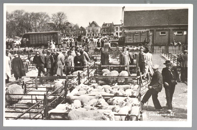 WAT001012992 Schapenmarkt. Op de kop van de koemarkt verhandelde men al sinds 1612 koeien, ossen, paarden, varkens en ...