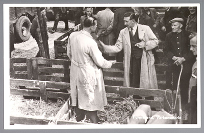 WAT001013180 De varkensmarkt. Tot 1973 werd er op dinsdag de varkensmarkt gehouden in de Willem Eggertstraat en op het ...