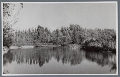 WAT001001273 Bos en water ergens in Purmerland