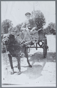 WAT001001531 Hondenkar van Jan Teunis Schot. Hij ventte langs de deuren in Jisp en omstreken met groente en melk. De ...