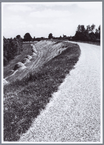 WAT001001673 Dijkweg richting Kwadijk. Berm met hooioppers.