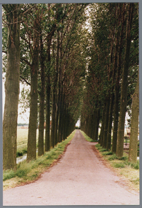 WAT001001664 Oprijlaan naar de stolpboerderij, Kwadijk 6