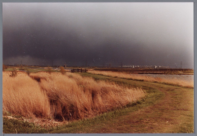 WAT001001827 Moerasbos met stuw in het Twiske
