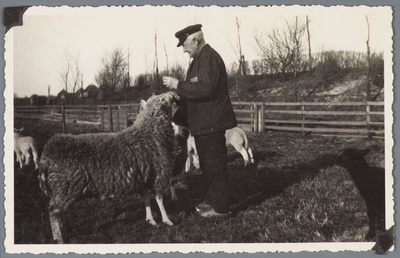 WAT001001866 Omroeper Evert Oudekerk bij ''zijn'' schapen.