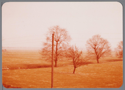 WAT001002712 Boomgaard bij de Stolpboerderij de vogel Phoenix aan de Westdijk E 14 in de Purmer.
