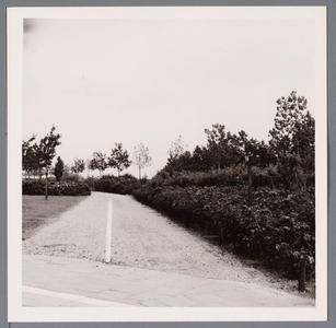 WAT001002845 Uitzicht op de Doplaan in Purmerend