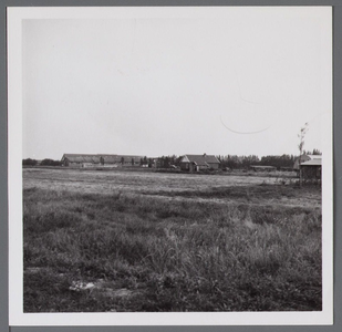 WAT001003071 Hoornselaan in ontwikkeling.