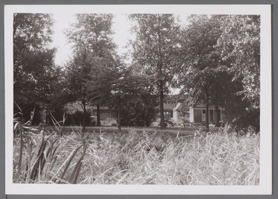 WAT001003523 Molenplantsoen met op de achtergrond een aantal loodsen aan de Tuinstraat.