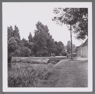 WAT001003521 Molenplantsoen