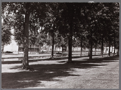 WAT001008211 Foto gemaakt vanaf van Balenstraat. Aan de overkant Burg. D. Kooimanweg.