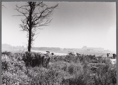 WAT001008455 Flevostraat wordt verlengd.