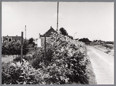 WAT001008738 Pumerend, Oudelandsdijkje