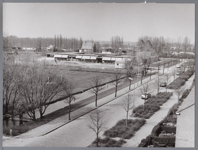 WAT001008773 J.H. Pestalozzischool, l.o.m. school.