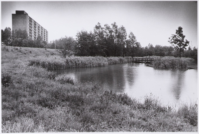 WAT001009228 Wilde oevers in het Leeghwaterpark.