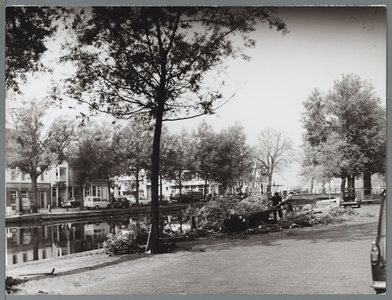 WAT001010009 Bomen rooien aan de Venediën ter voorbereiding op de geplande demping.