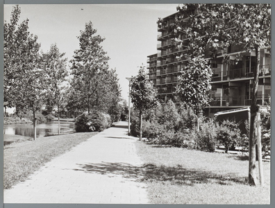 WAT001010351 Fietspad tussen het Makadocentrum en de flats aan de Anne Franklaan, richting de Botterstraat.