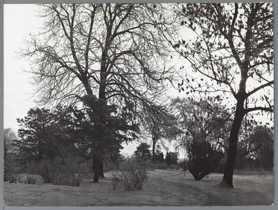 WAT001010406 Oude toestand omgeving Witte HuisWinters landschap.