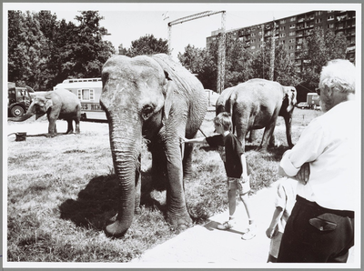 WAT001014952 Een foutje van het boekingskantoor dat circus Renz-Berlin naar Purmerend heeft gehaald,was gisteren ...