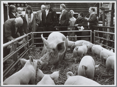 WAT001016445 Veetentoonstelling. Bezoekers bij de varkensstal.