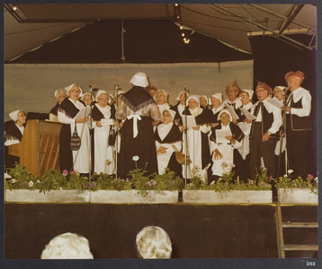 WAT001019469 Landsmeer 650 jaar.